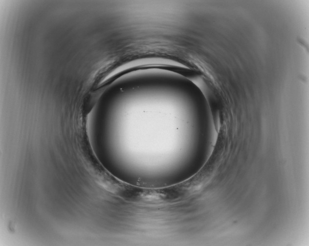 X0000099430407200805091254