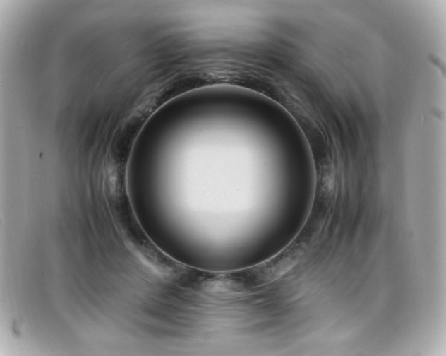 X0000099430408200805091254
