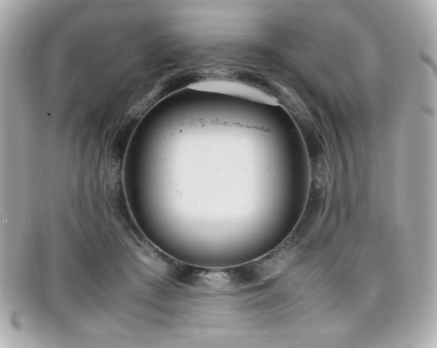 X0000099430409200805091254