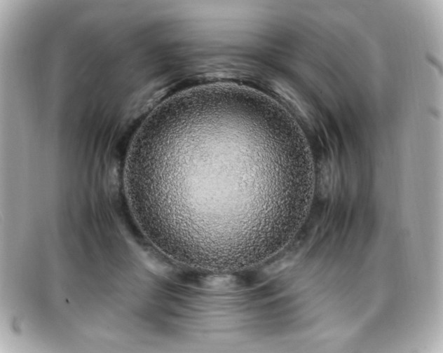 X0000099430410200805091254