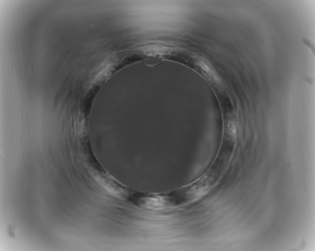 X0000099430411200805091254