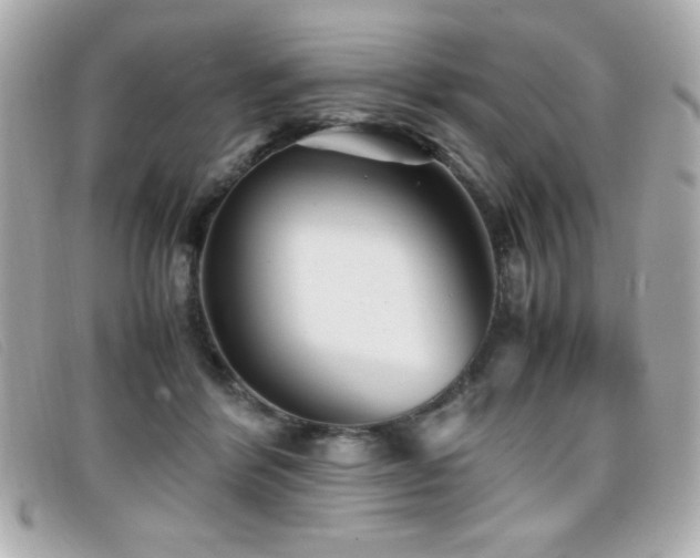 X0000099430412200805091254