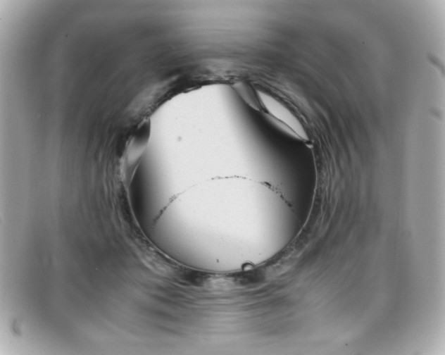 X0000099430413200805091254