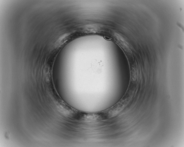 X0000099430414200805091254