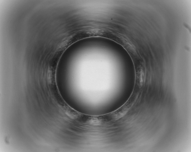 X0000099430416200805091254