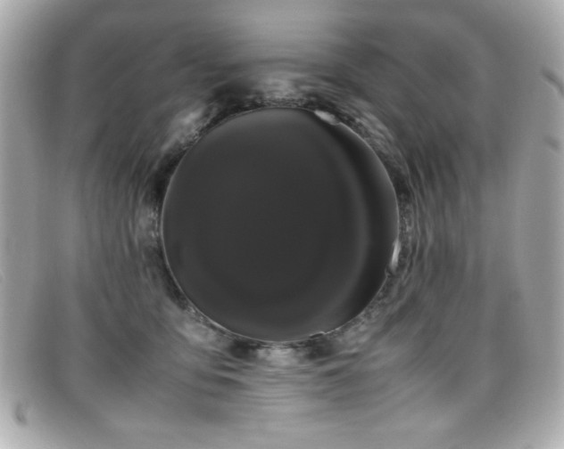 X0000099430419200805091254