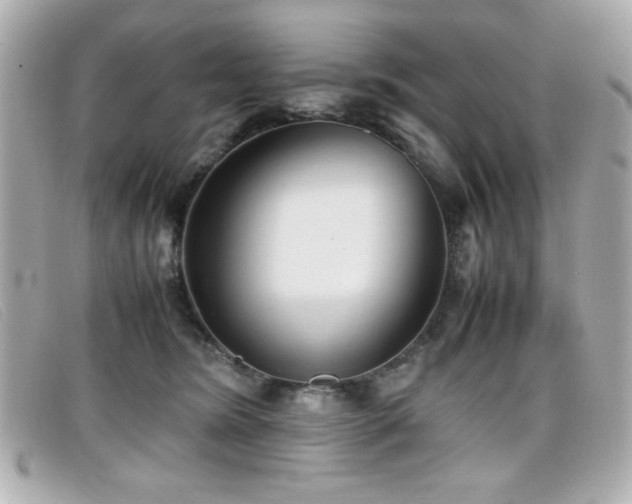 X0000099430420200805091254