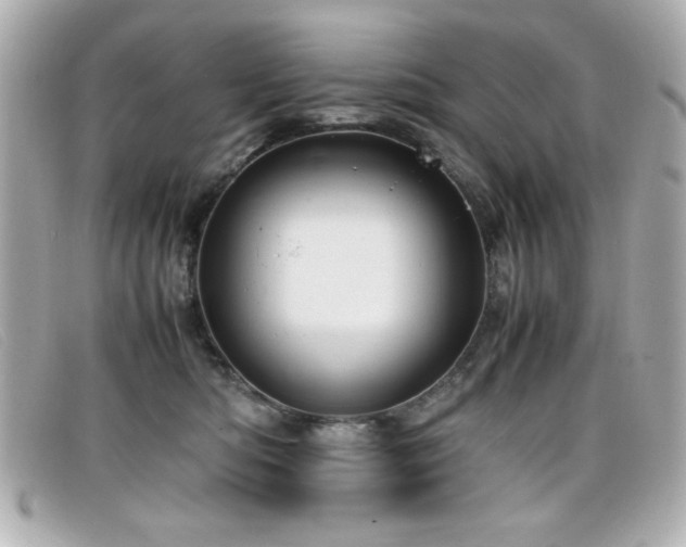 X0000099430422200805091254