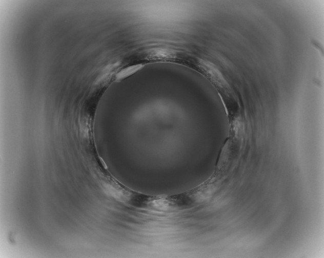 X0000099430423200805091254