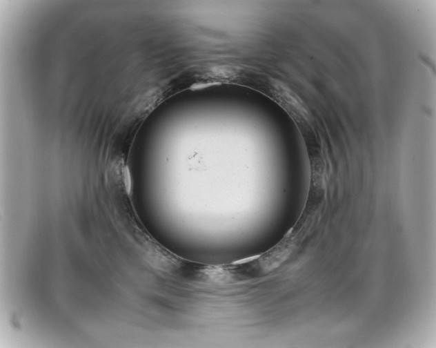 X0000099430425200805091254