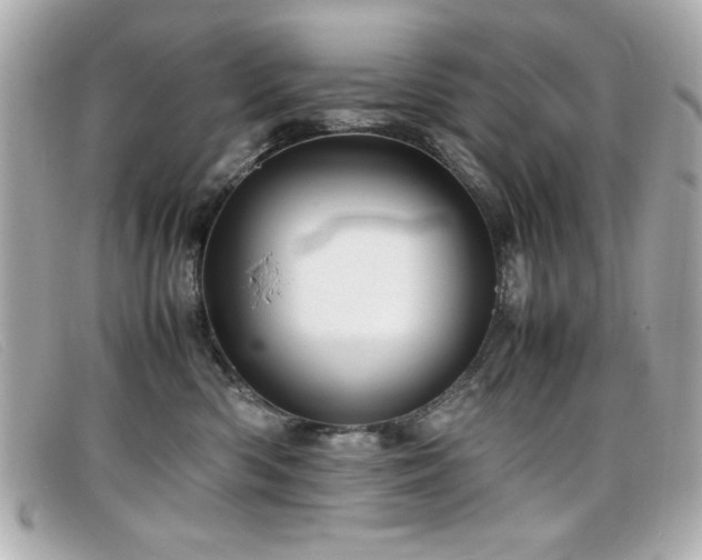 X0000099430426200805091254
