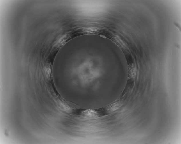 X0000099430427200805091254