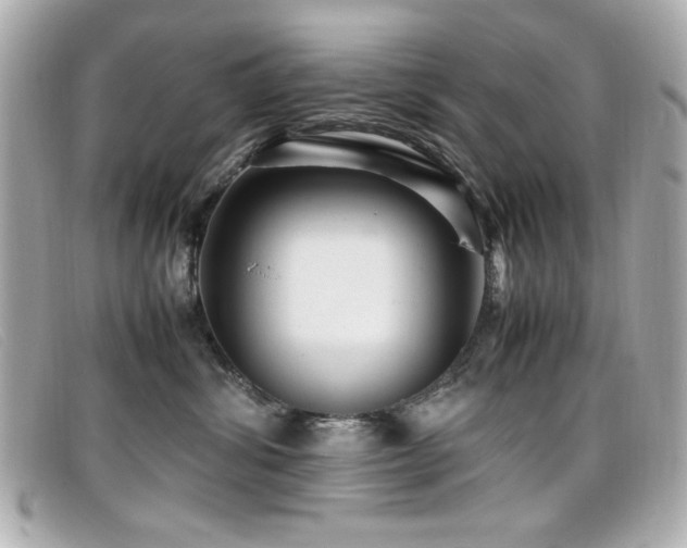 X0000099430428200805091254