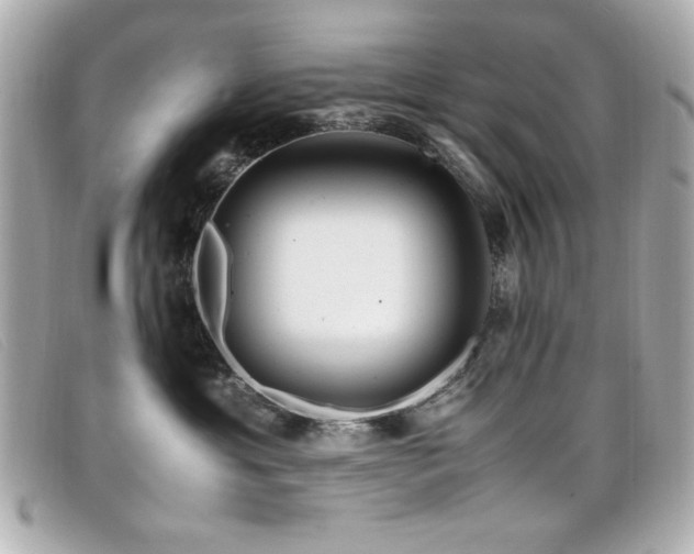 X0000099430429200805091254