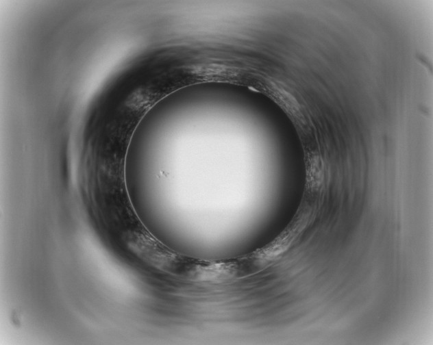 X0000099430430200805091254