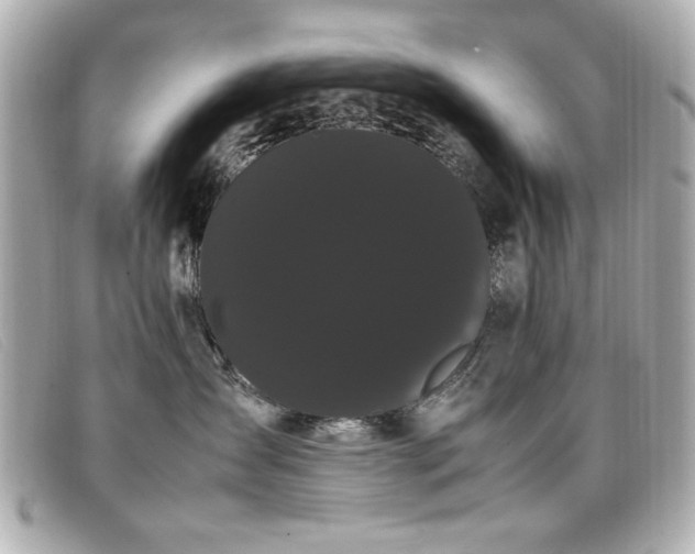 X0000099430431200805091254