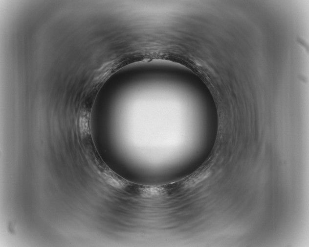 X0000099430432200805091254