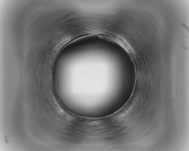 X0000099430433200805091253