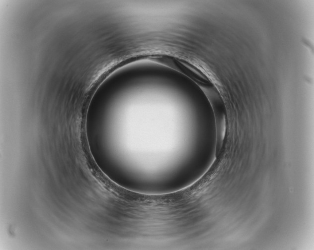 X0000099430434200805091253