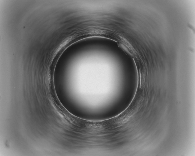 X0000099430435200805091253