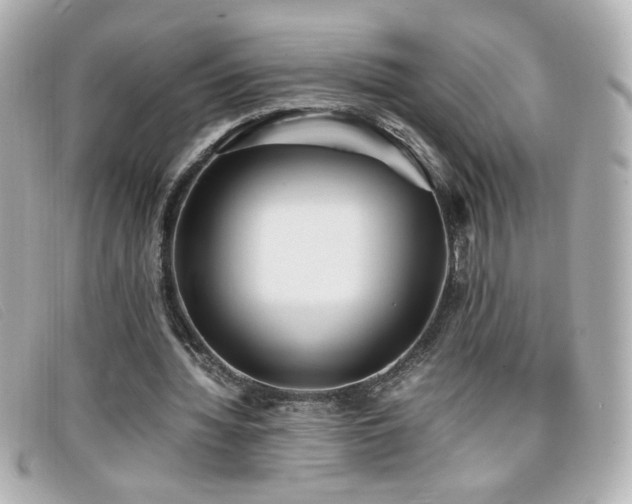 X0000099430436200805091253