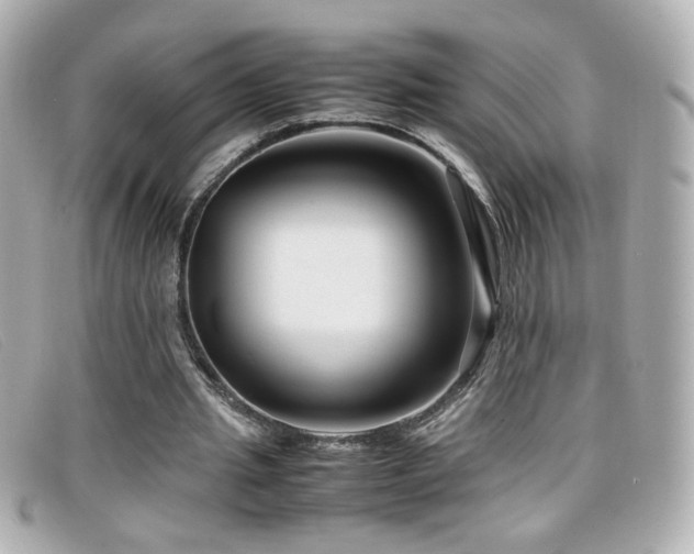 X0000099430437200805091253