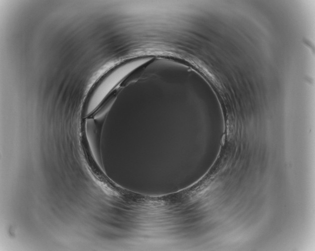 X0000099430438200805091253