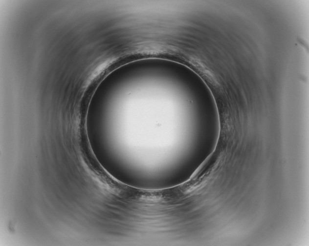 X0000099430440200805091253