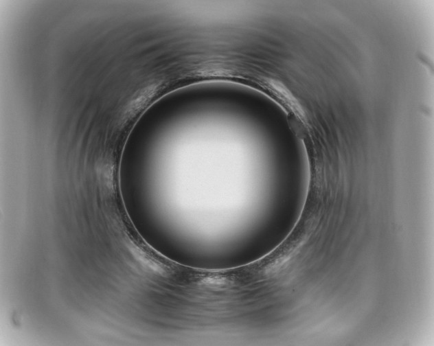 X0000099430441200805091253