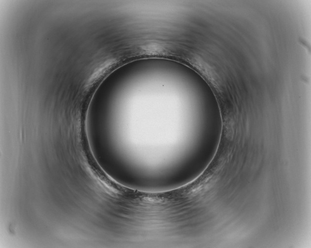 X0000099430442200805091253