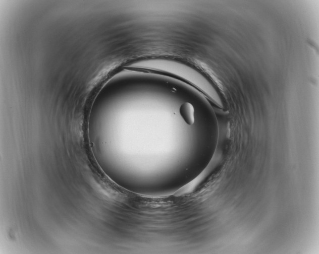 X0000099430443200805091253