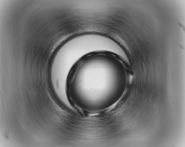 X0000099430444200805091253