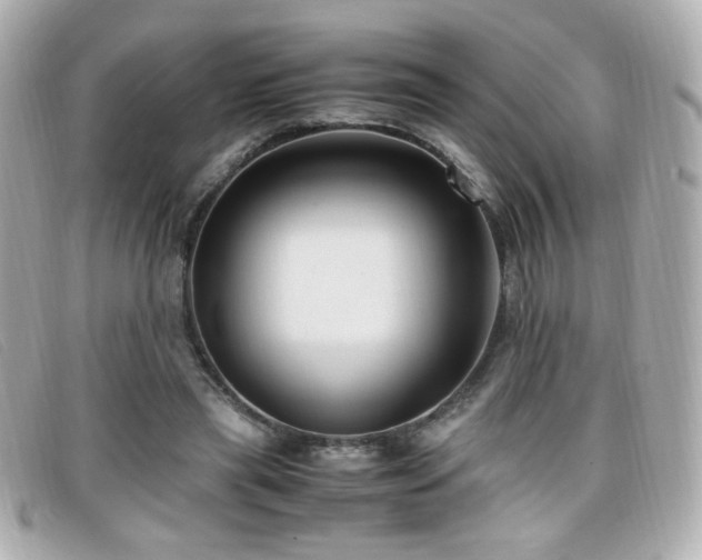X0000099430445200805091254