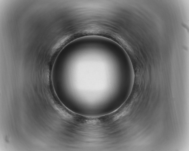 X0000099430446200805091254