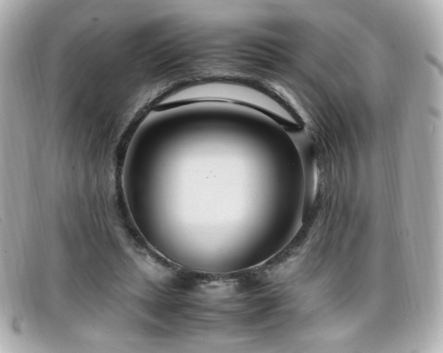 X0000099430447200805091254