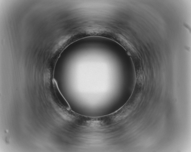 X0000099430448200805091254