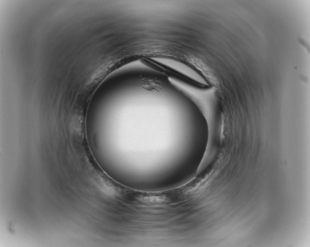 X0000099430449200805091254