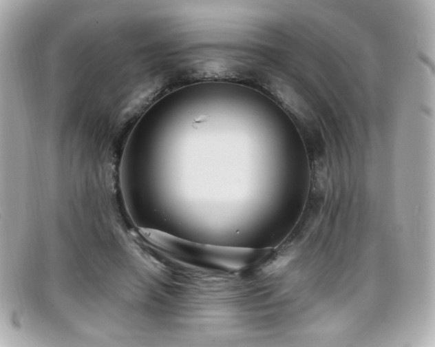 X0000099430450200805091254