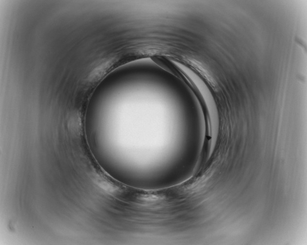 X0000099430453200805091254