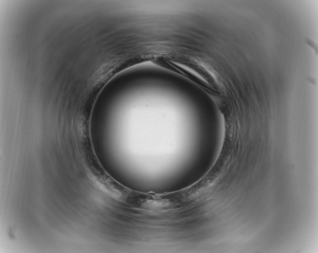 X0000099430455200805091254