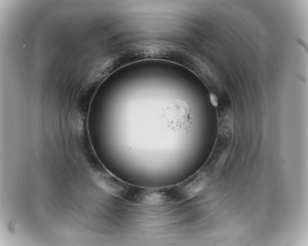 X0000099430456200805091254