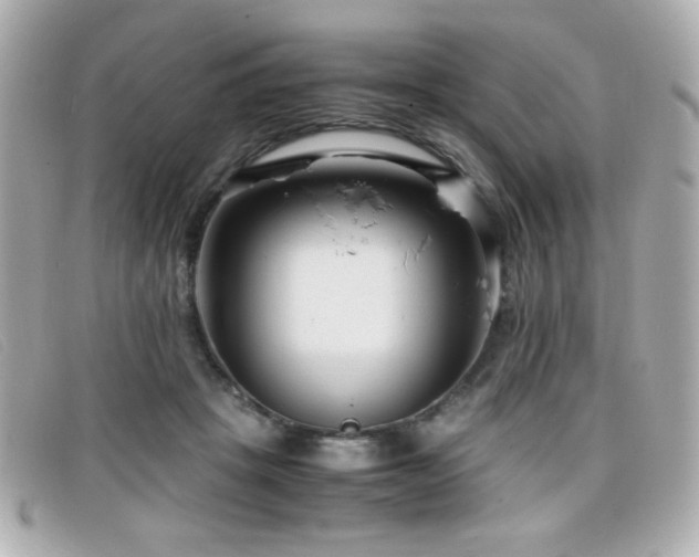 X0000099430457200805091254