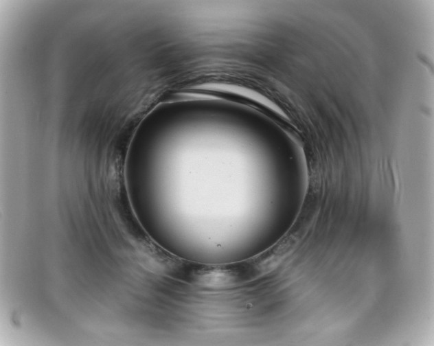 X0000099430460200805091254