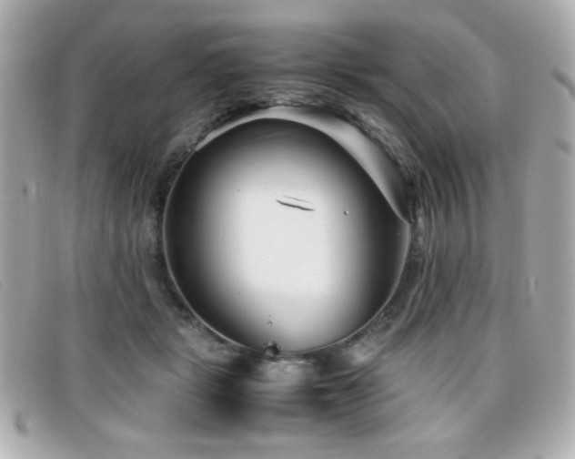 X0000099430461200805091254