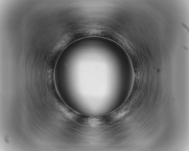 X0000099430462200805091254