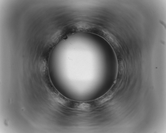 X0000099430463200805091254