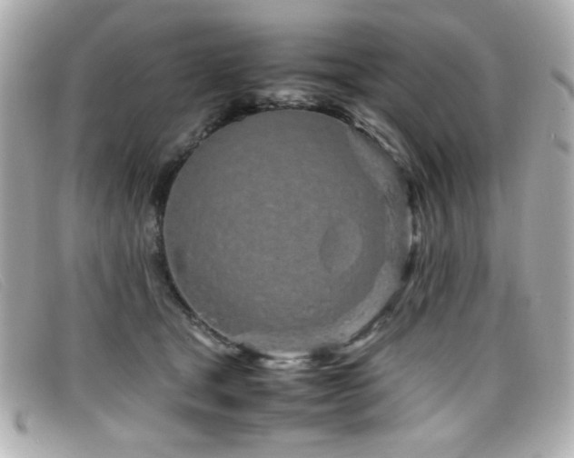 X0000099430465200805091254