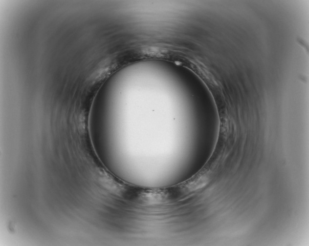X0000099430466200805091254