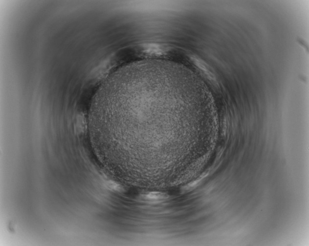 X0000099430467200805091254