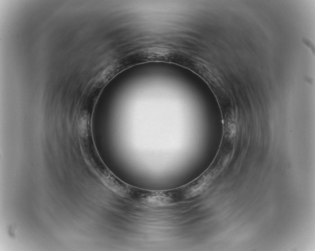 X0000099430468200805091254